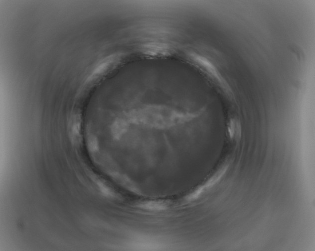 X0000113251396200910081309