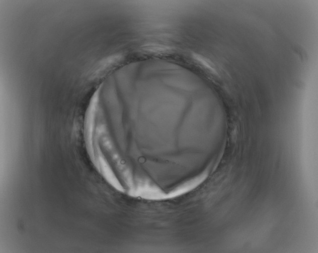 X0000113251397200910081309