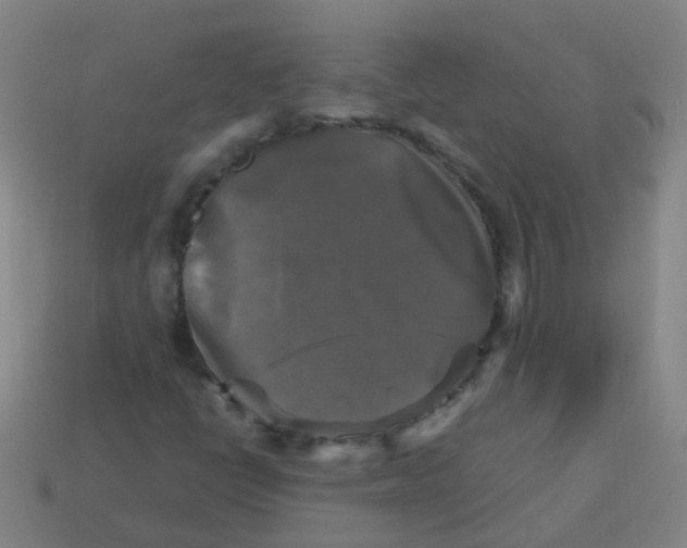 X0000113251398200910081309