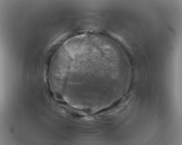 X0000113251399200910081309