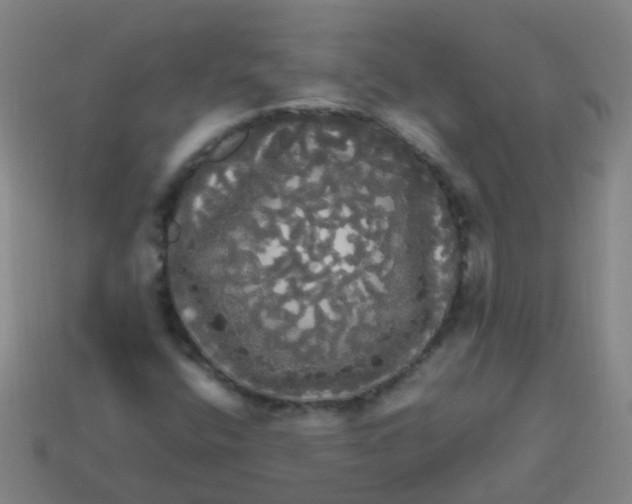 X0000113251400200910081309