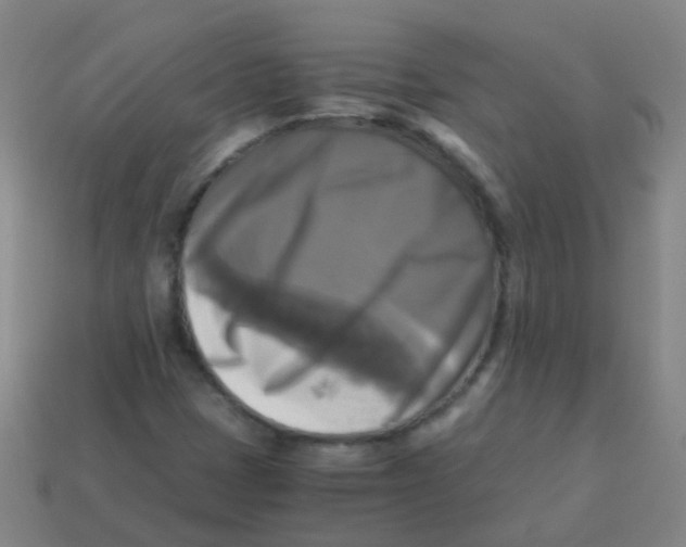 X0000113251401200910081309