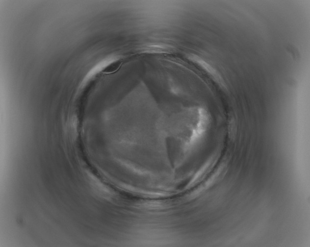 X0000113251402200910081309