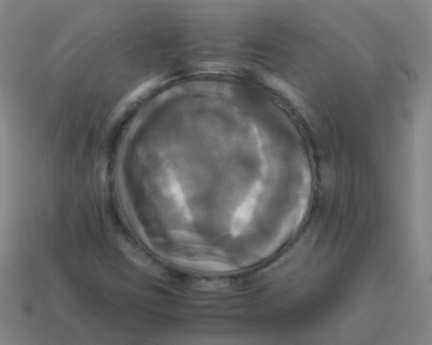 X0000113251403200910081309