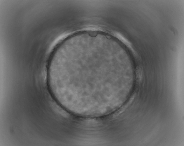 X0000113251408200910081309