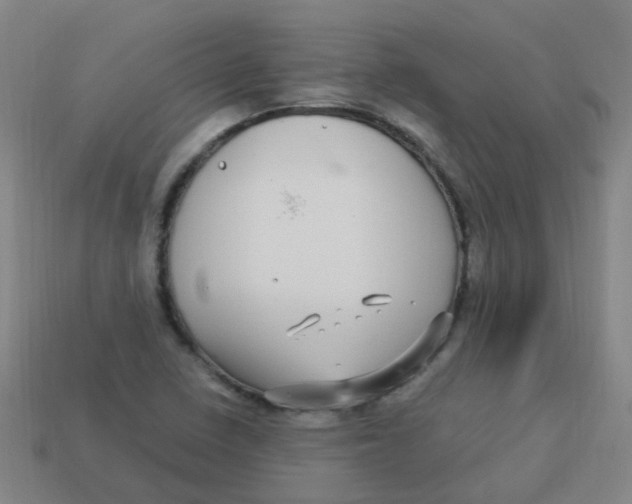 X0000113251410200910081309