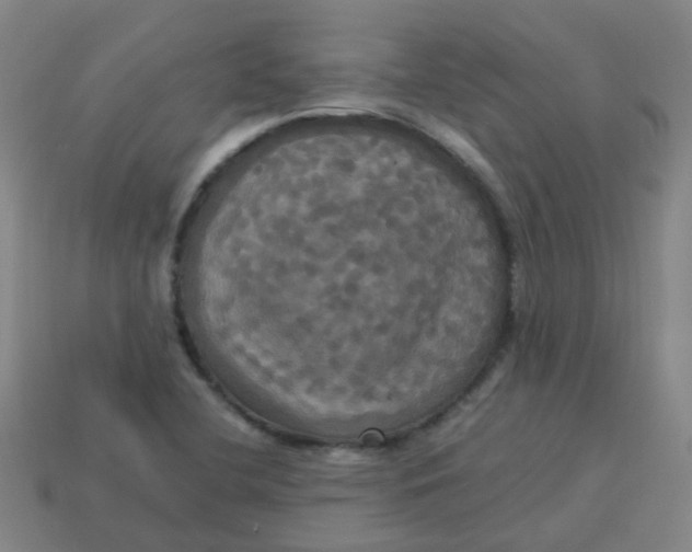 X0000113251412200910081309