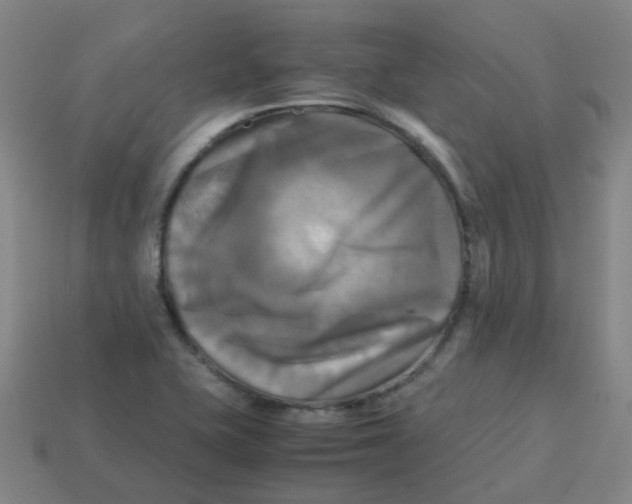 X0000113251415200910081309