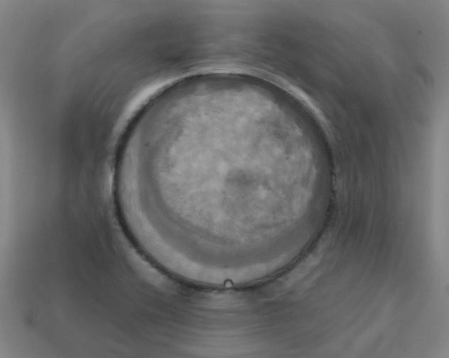 X0000113251416200910081309