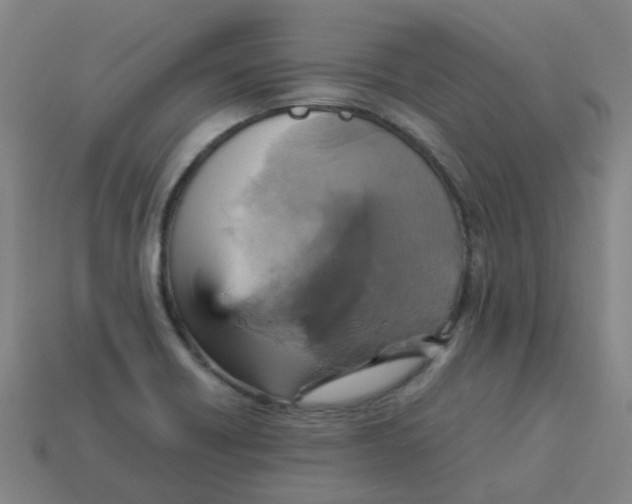 X0000113251418200910081309