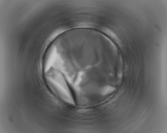 X0000113251419200910081309