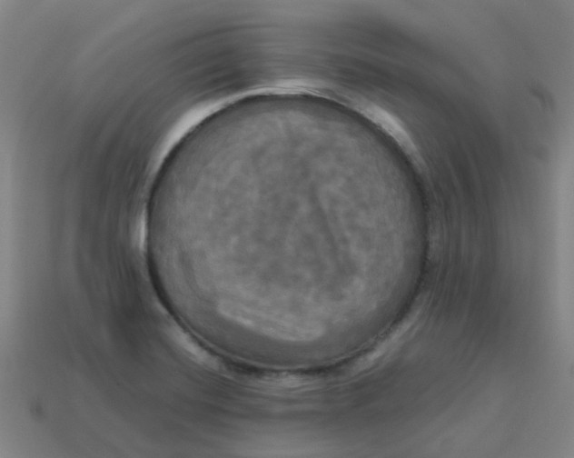 X0000113251420200910081309