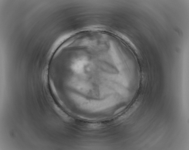 X0000113251421200910081309