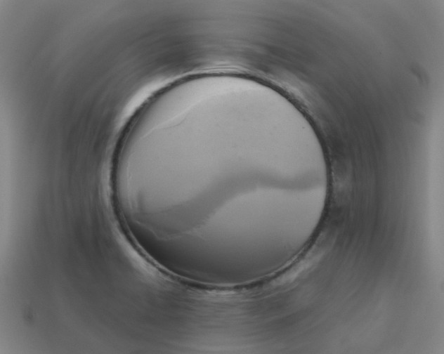 X0000113251422200910081309