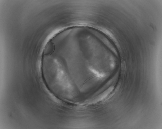 X0000113251424200910081309