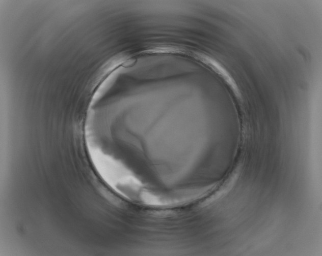 X0000113251425200910081309