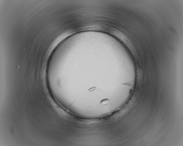 X0000113251426200910081309