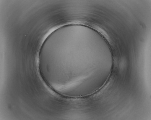 X0000113251428200910081309