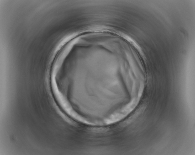 X0000113251429200910081309