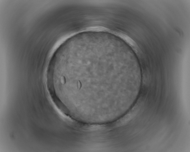 X0000113251430200910081309