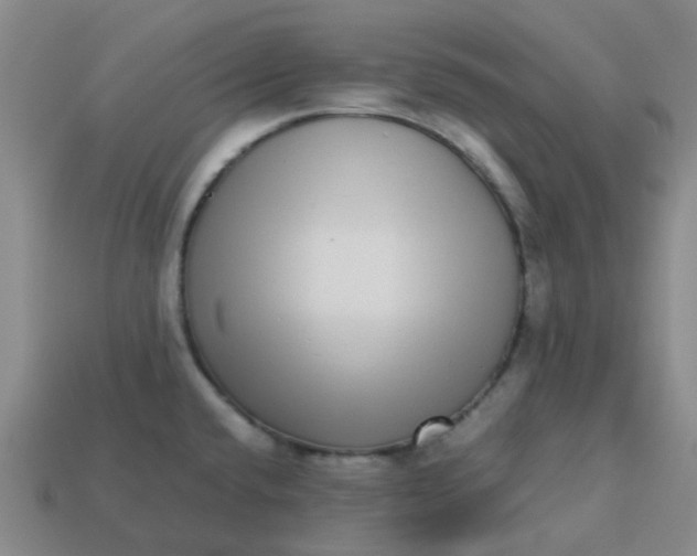 X0000113251432200910081309