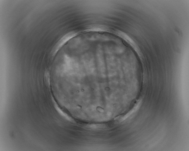 X0000113251433200910081309