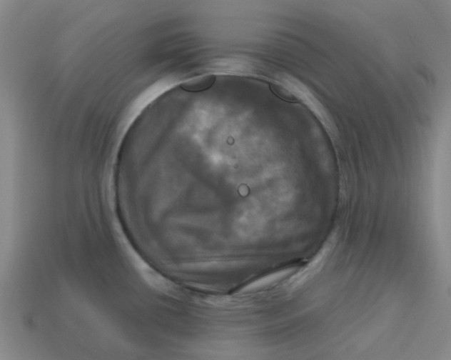 X0000113251434200910081309