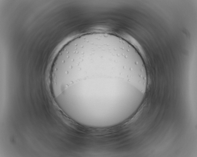 X0000113251435200910081309