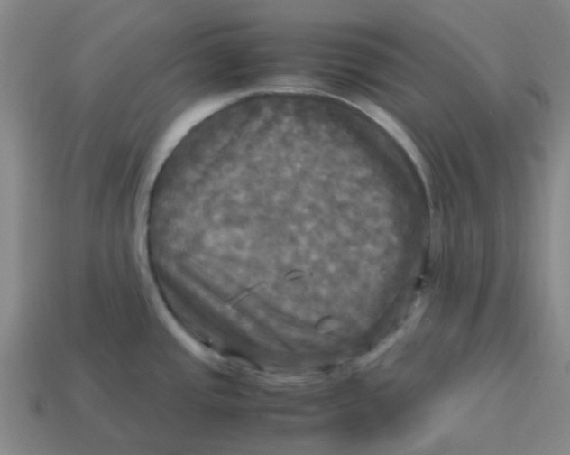 X0000113251437200910081309