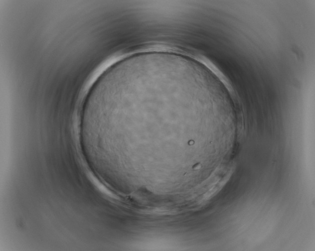 X0000113251438200910081309