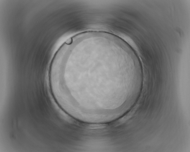 X0000113251440200910081309