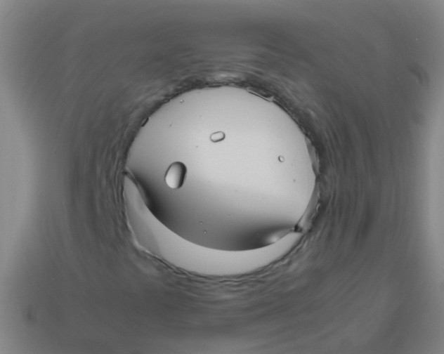 X0000113251441200910081309