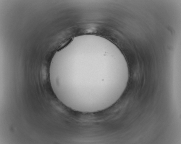 X0000113251442200910081309