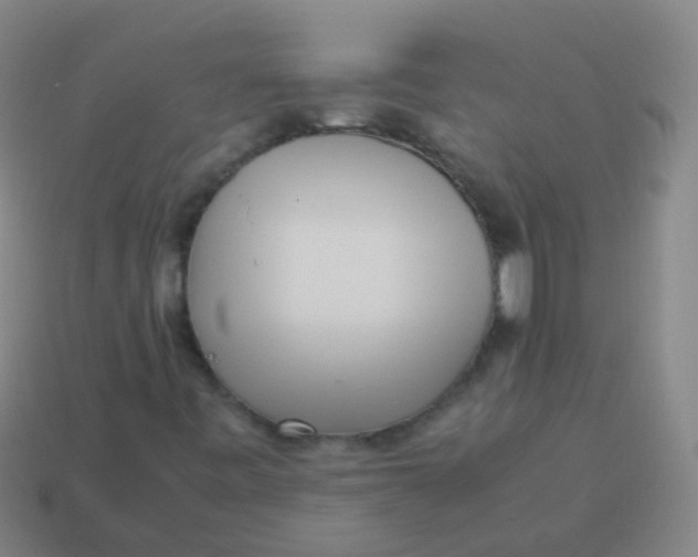 X0000113251443200910081309