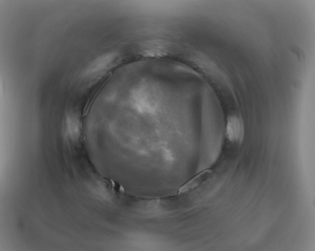 X0000113251444200910081309