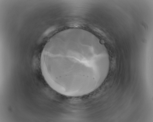 X0000113251446200910081309