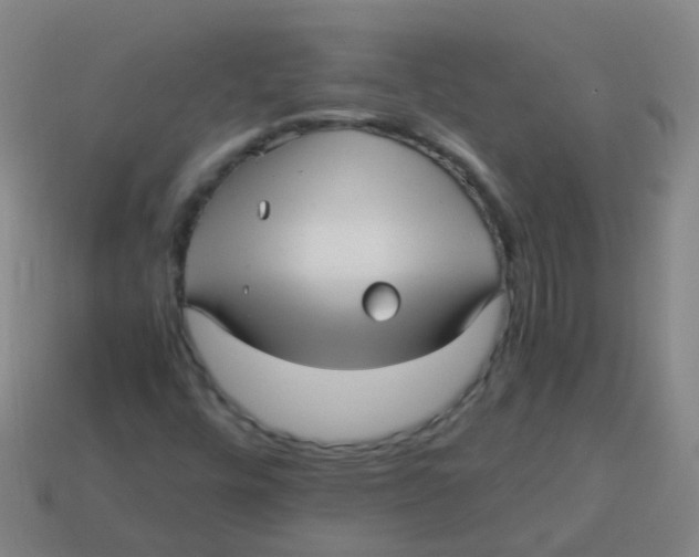 X0000113251448200910081309