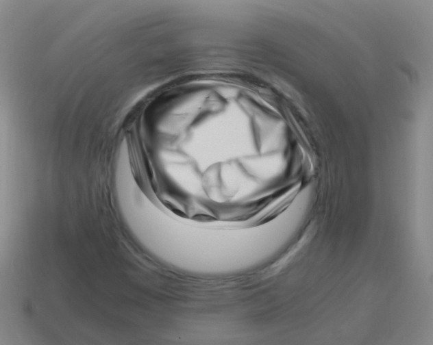 X0000113251449200910081309