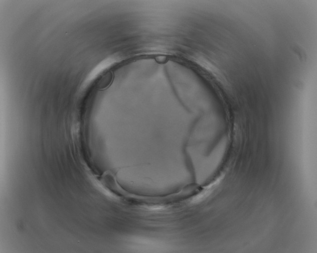 X0000113251450200910081309