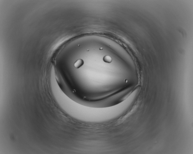 X0000113251453200910081309