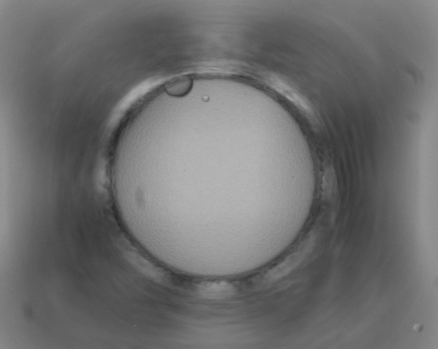 X0000113251454200910081309