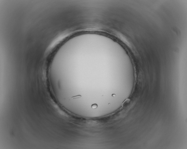 X0000113251456200910081309