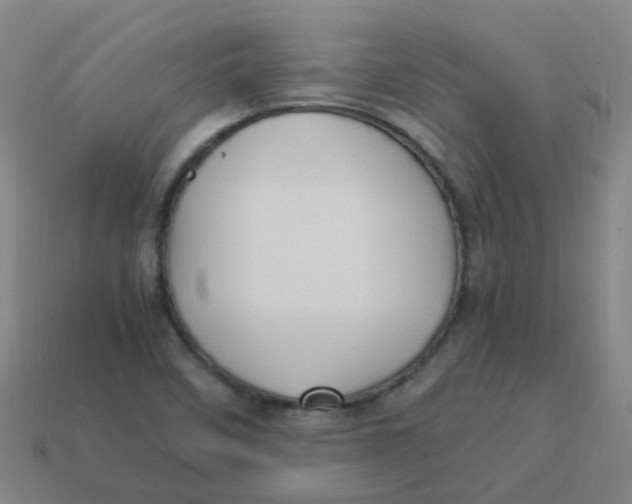 X0000113251458200910081309