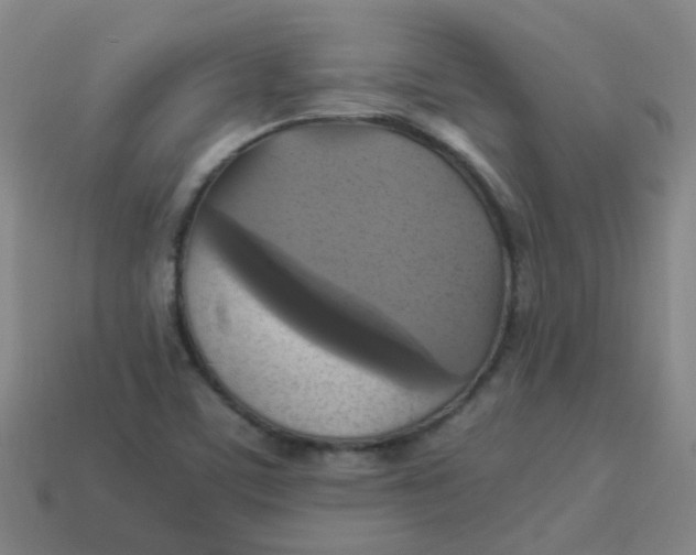 X0000113251459200910081309