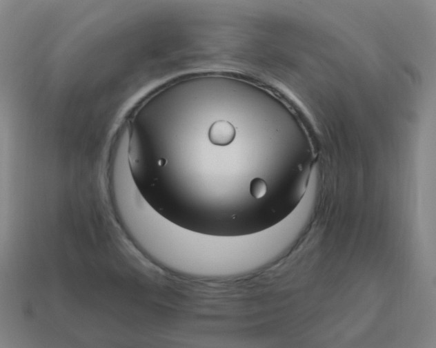 X0000113251460200910081309