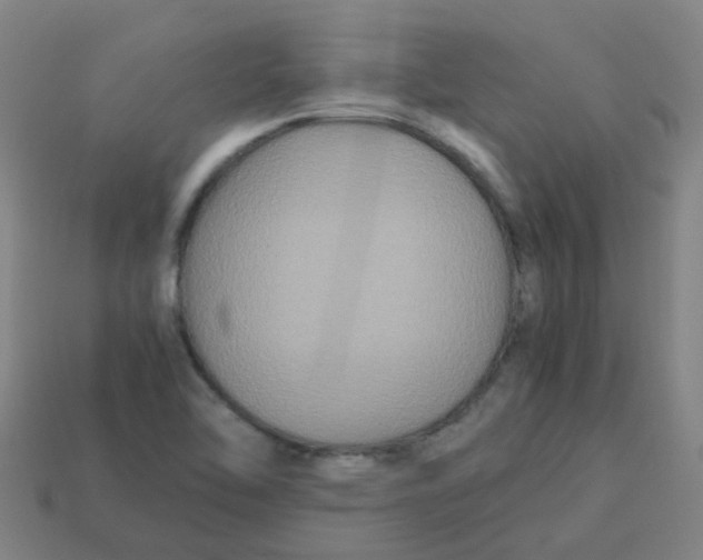 X0000113251462200910081309