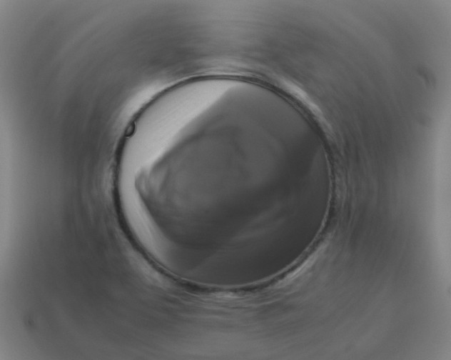 X0000113251463200910081309