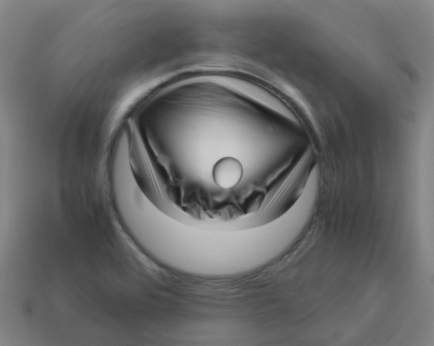 X0000113251464200910081309