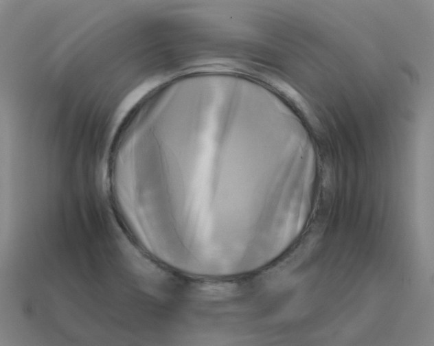 X0000113251466200910081309