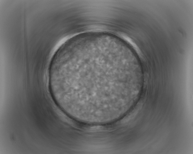 X0000113251467200910081309